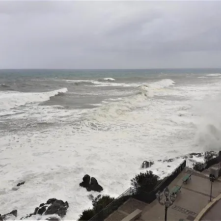 Calypso チェファル