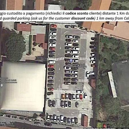 Calypso チェファル